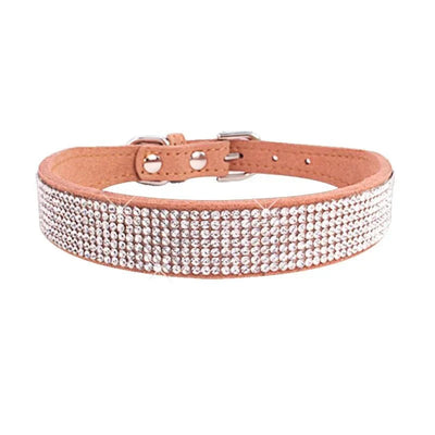 https://cdn.shopify.com/s/files/1/0647/9170/7830/files/collier-chiot-2-mois-6075814.webp?v=1777925414