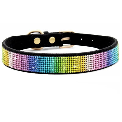 https://cdn.shopify.com/s/files/1/0647/9170/7830/files/collier-chiot-2-mois-6381030.webp?v=1777925467