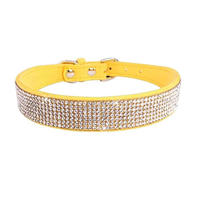 https://cdn.shopify.com/s/files/1/0647/9170/7830/files/collier-chiot-2-mois-6895809.webp?v=1777925414