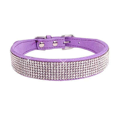 https://cdn.shopify.com/s/files/1/0647/9170/7830/files/collier-chiot-2-mois-9330974.webp?v=1777925413