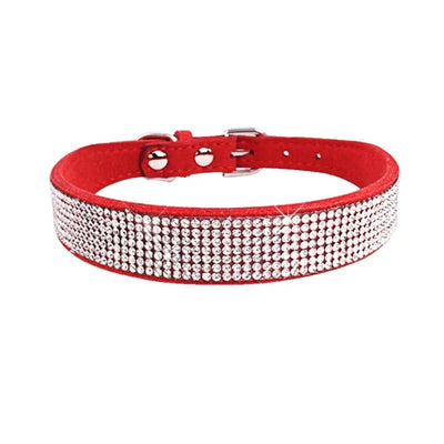 https://cdn.shopify.com/s/files/1/0647/9170/7830/files/collier-chiot-2-mois-9875545.webp?v=1777925467