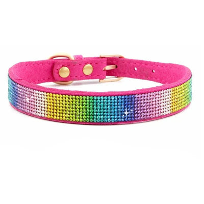 https://cdn.shopify.com/s/files/1/0647/9170/7830/files/collier-chiot-2-mois-9882460.webp?v=1777925415