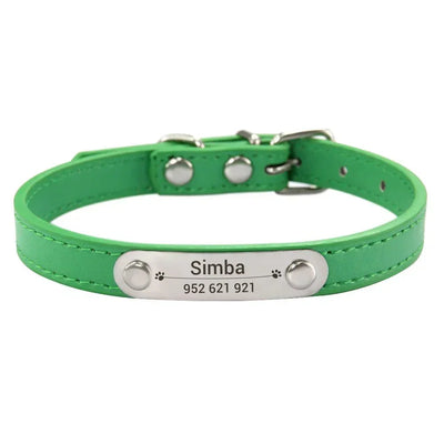 https://cdn.shopify.com/s/files/1/0647/9170/7830/files/collier-chiot-3-mois-1165680.webp?v=1777923912