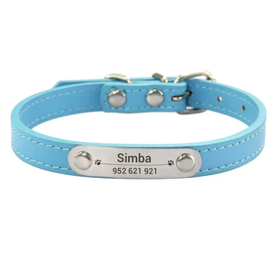 https://cdn.shopify.com/s/files/1/0647/9170/7830/files/collier-chiot-3-mois-1299523.webp?v=1777923733