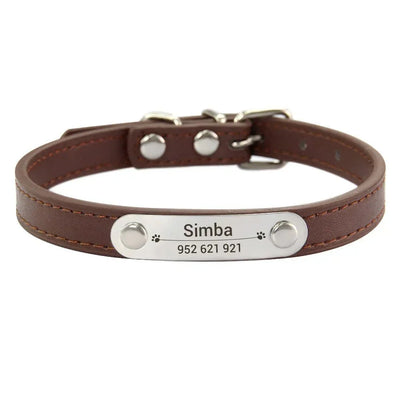 https://cdn.shopify.com/s/files/1/0647/9170/7830/files/collier-chiot-3-mois-1854404.webp?v=1777923913