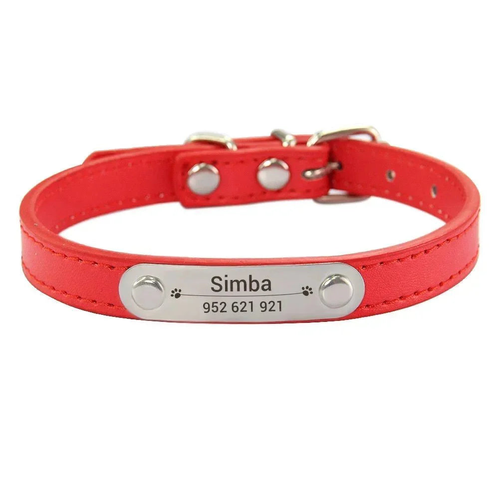 https://cdn.shopify.com/s/files/1/0647/9170/7830/files/collier-chiot-3-mois-2538583.webp?v=1777923734