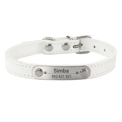 https://cdn.shopify.com/s/files/1/0647/9170/7830/files/collier-chiot-3-mois-2827336.webp?v=1777923913