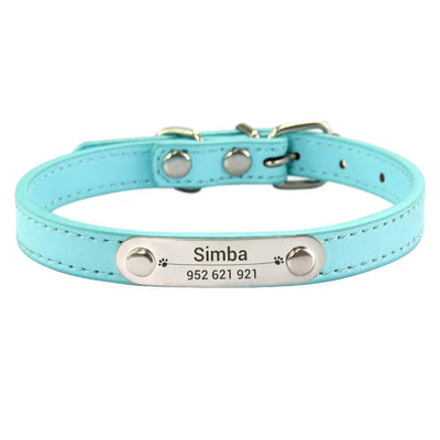 https://cdn.shopify.com/s/files/1/0647/9170/7830/files/collier-chiot-3-mois-4068537.webp?v=1777923735