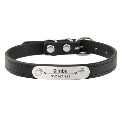 https://cdn.shopify.com/s/files/1/0647/9170/7830/files/collier-chiot-3-mois-4354681.webp?v=1777923734