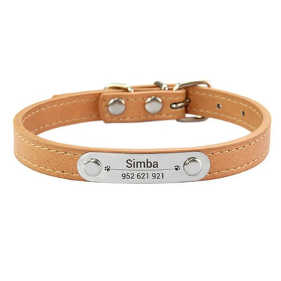 https://cdn.shopify.com/s/files/1/0647/9170/7830/files/collier-chiot-3-mois-5013692.webp?v=1777923734