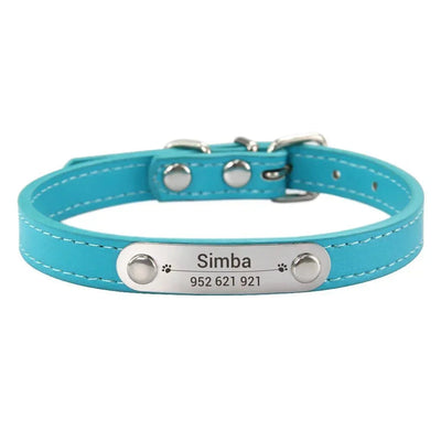 https://cdn.shopify.com/s/files/1/0647/9170/7830/files/collier-chiot-3-mois-5662377.webp?v=1777923733