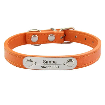 https://cdn.shopify.com/s/files/1/0647/9170/7830/files/collier-chiot-3-mois-6290895.webp?v=1777923733