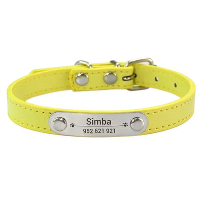 https://cdn.shopify.com/s/files/1/0647/9170/7830/files/collier-chiot-3-mois-6567128.webp?v=1777923912