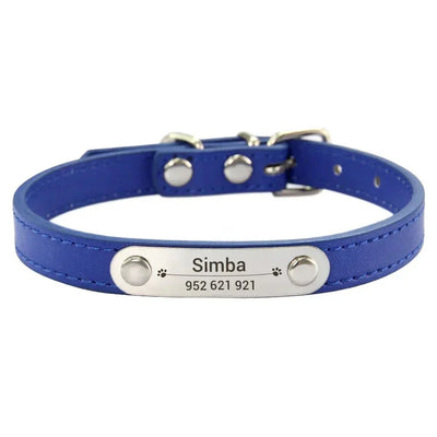 https://cdn.shopify.com/s/files/1/0647/9170/7830/files/collier-chiot-3-mois-7153141.webp?v=1777923911