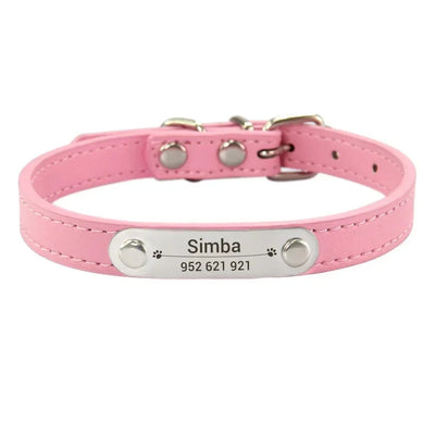 https://cdn.shopify.com/s/files/1/0647/9170/7830/files/collier-chiot-3-mois-7200883.webp?v=1777923734