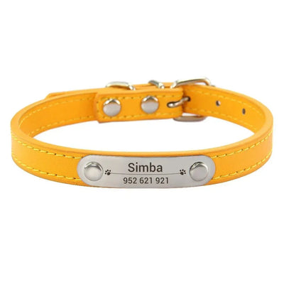 https://cdn.shopify.com/s/files/1/0647/9170/7830/files/collier-chiot-3-mois-7207759.webp?v=1777923911