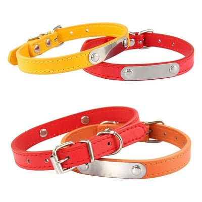 https://cdn.shopify.com/s/files/1/0647/9170/7830/files/collier-chiot-3-mois-7781215.webp?v=1777923735
