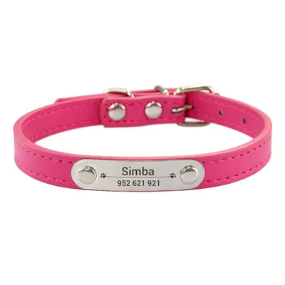 https://cdn.shopify.com/s/files/1/0647/9170/7830/files/collier-chiot-3-mois-8301195.webp?v=1777923912