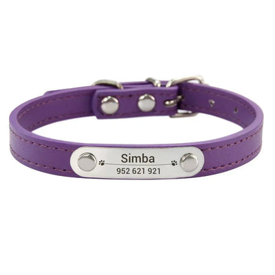 https://cdn.shopify.com/s/files/1/0647/9170/7830/files/collier-chiot-3-mois-9221821.webp?v=1777923913