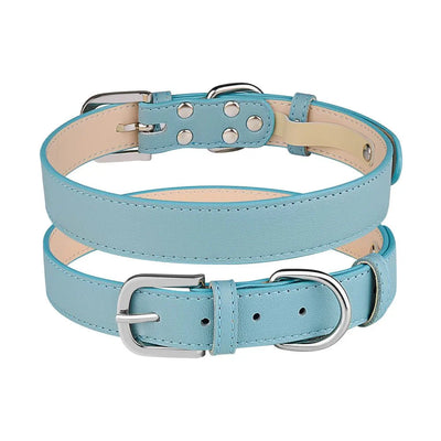 https://cdn.shopify.com/s/files/1/0647/9170/7830/files/collier-chiot-3705313.webp?v=1777925592