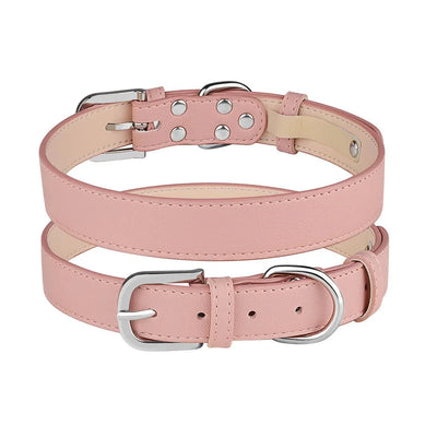 https://cdn.shopify.com/s/files/1/0647/9170/7830/files/collier-chiot-7041306.webp?v=1777925592
