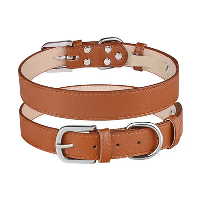 https://cdn.shopify.com/s/files/1/0647/9170/7830/files/collier-chiot-7687617.webp?v=1777925591