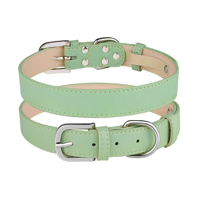 https://cdn.shopify.com/s/files/1/0647/9170/7830/files/collier-chiot-7720217.webp?v=1777925591