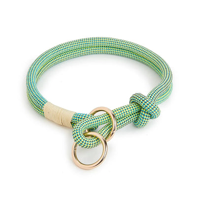 https://cdn.shopify.com/s/files/1/0647/9170/7830/files/collier-chiot-beagle-7543765.webp?v=1777924087