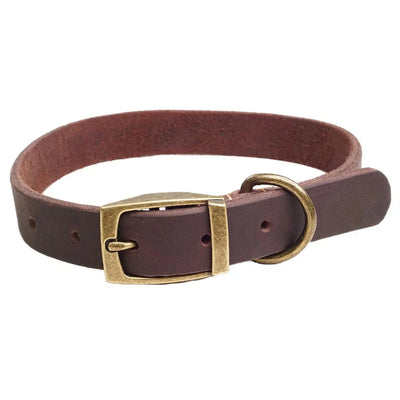 https://cdn.shopify.com/s/files/1/0647/9170/7830/files/collier-chiot-cuir-7388409.webp?v=1777923790