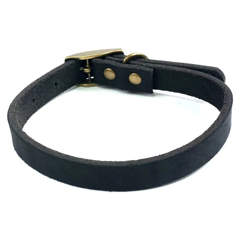 https://cdn.shopify.com/s/files/1/0647/9170/7830/files/collier-chiot-cuir-8215354.webp?v=1777923790