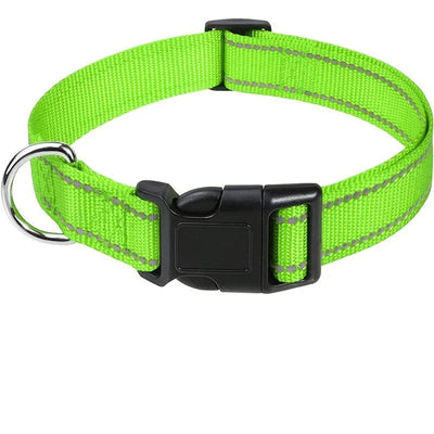https://cdn.shopify.com/s/files/1/0647/9170/7830/files/collier-chiot-femelle-3199226.webp?v=1777923976