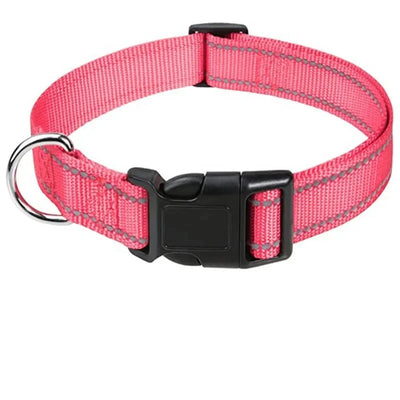 https://cdn.shopify.com/s/files/1/0647/9170/7830/files/collier-chiot-femelle-3435960.webp?v=1777923914