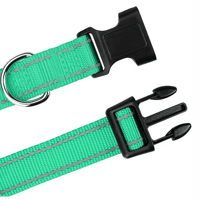 https://cdn.shopify.com/s/files/1/0647/9170/7830/files/collier-chiot-femelle-4027729.webp?v=1777923912
