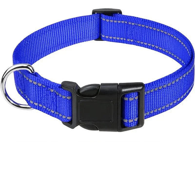 https://cdn.shopify.com/s/files/1/0647/9170/7830/files/collier-chiot-femelle-5712686.webp?v=1777923913