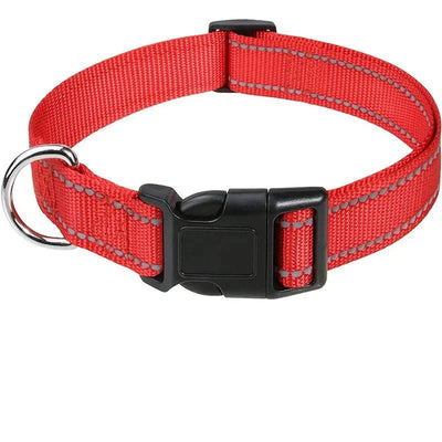 https://cdn.shopify.com/s/files/1/0647/9170/7830/files/collier-chiot-femelle-7627290.webp?v=1777923914