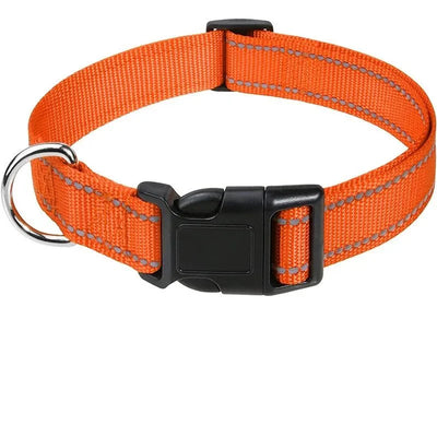 https://cdn.shopify.com/s/files/1/0647/9170/7830/files/collier-chiot-femelle-8497281.webp?v=1777923914