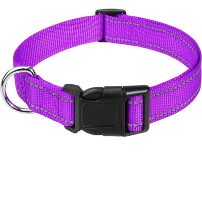 https://cdn.shopify.com/s/files/1/0647/9170/7830/files/collier-chiot-femelle-8497641.webp?v=1777923914