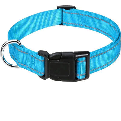 https://cdn.shopify.com/s/files/1/0647/9170/7830/files/collier-chiot-femelle-9729097.webp?v=1777923975