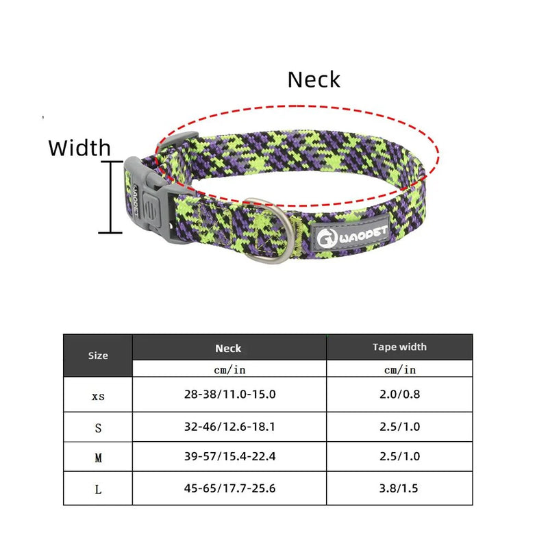 https://cdn.shopify.com/s/files/1/0647/9170/7830/files/collier-chiot-jack-russel-6868926.webp?v=1777923795