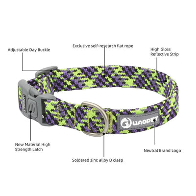 https://cdn.shopify.com/s/files/1/0647/9170/7830/files/collier-chiot-labrador-8696388.webp?v=1777923788