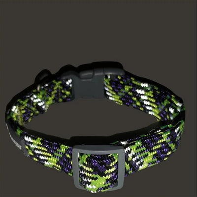 https://cdn.shopify.com/s/files/1/0647/9170/7830/files/collier-chiot-labrador-8776473.webp?v=1777923787