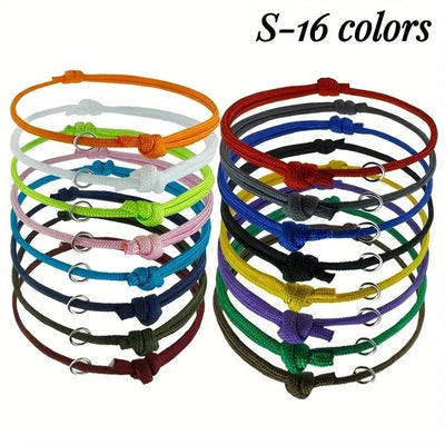https://cdn.shopify.com/s/files/1/0647/9170/7830/files/collier-chiot-naissance-2086175.webp?v=1777923730