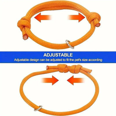 https://cdn.shopify.com/s/files/1/0647/9170/7830/files/collier-chiot-naissance-2747130.webp?v=1777923731
