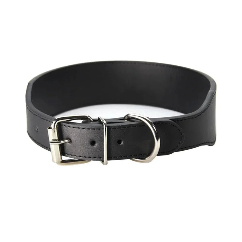 https://cdn.shopify.com/s/files/1/0647/9170/7830/files/collier-chiot-pas-cher-9550479.webp?v=1777923431