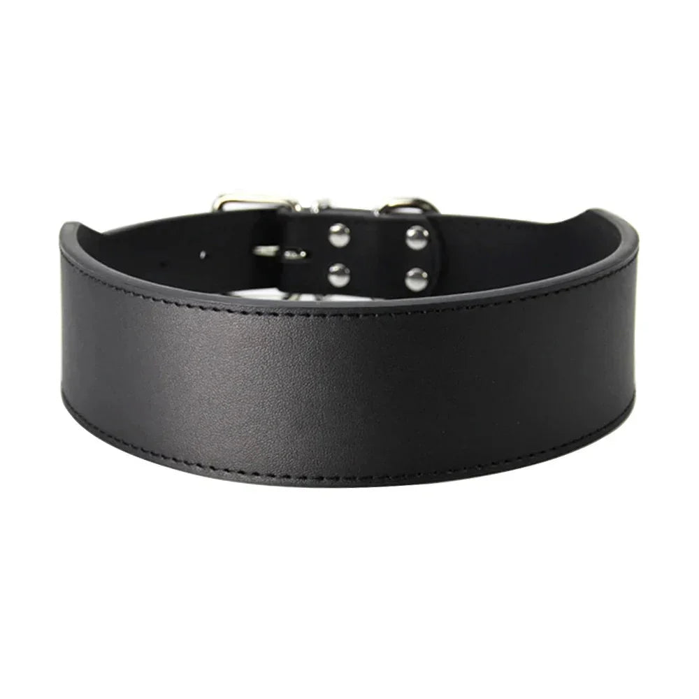 https://cdn.shopify.com/s/files/1/0647/9170/7830/files/collier-chiot-pas-cher-9550479.webp?v=1777923431
