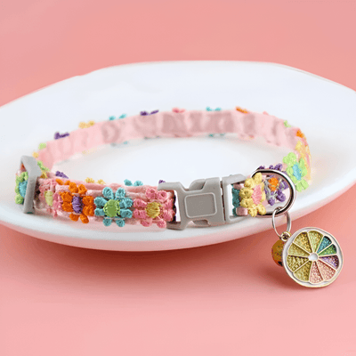 https://cdn.shopify.com/s/files/1/0647/9170/7830/files/collier-chiot-pour-femelle-2954708.png?v=1777924694