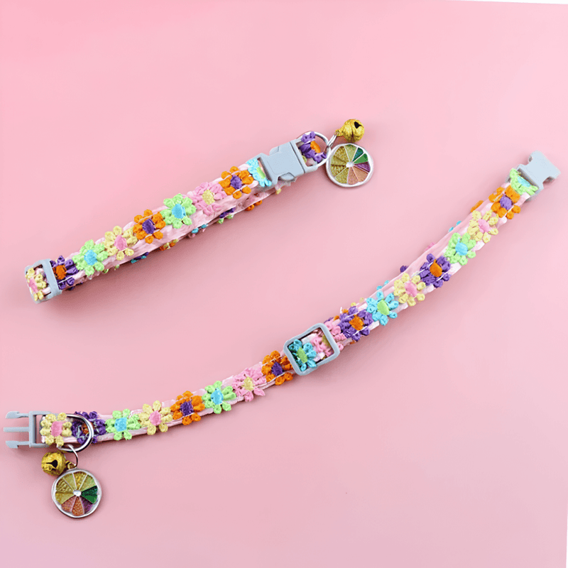 https://cdn.shopify.com/s/files/1/0647/9170/7830/files/collier-chiot-pour-femelle-1441004.webp?v=1777924694