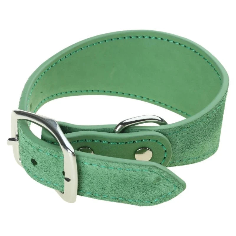 https://cdn.shopify.com/s/files/1/0647/9170/7830/files/collier-chiot-whippet-2134136.webp?v=1777923678