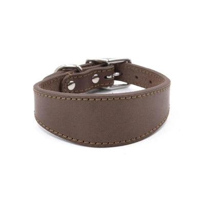 https://cdn.shopify.com/s/files/1/0647/9170/7830/files/collier-chiot-whippet-2611571.webp?v=1777923677