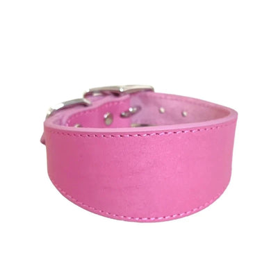 https://cdn.shopify.com/s/files/1/0647/9170/7830/files/collier-chiot-whippet-3010455.webp?v=1777923678